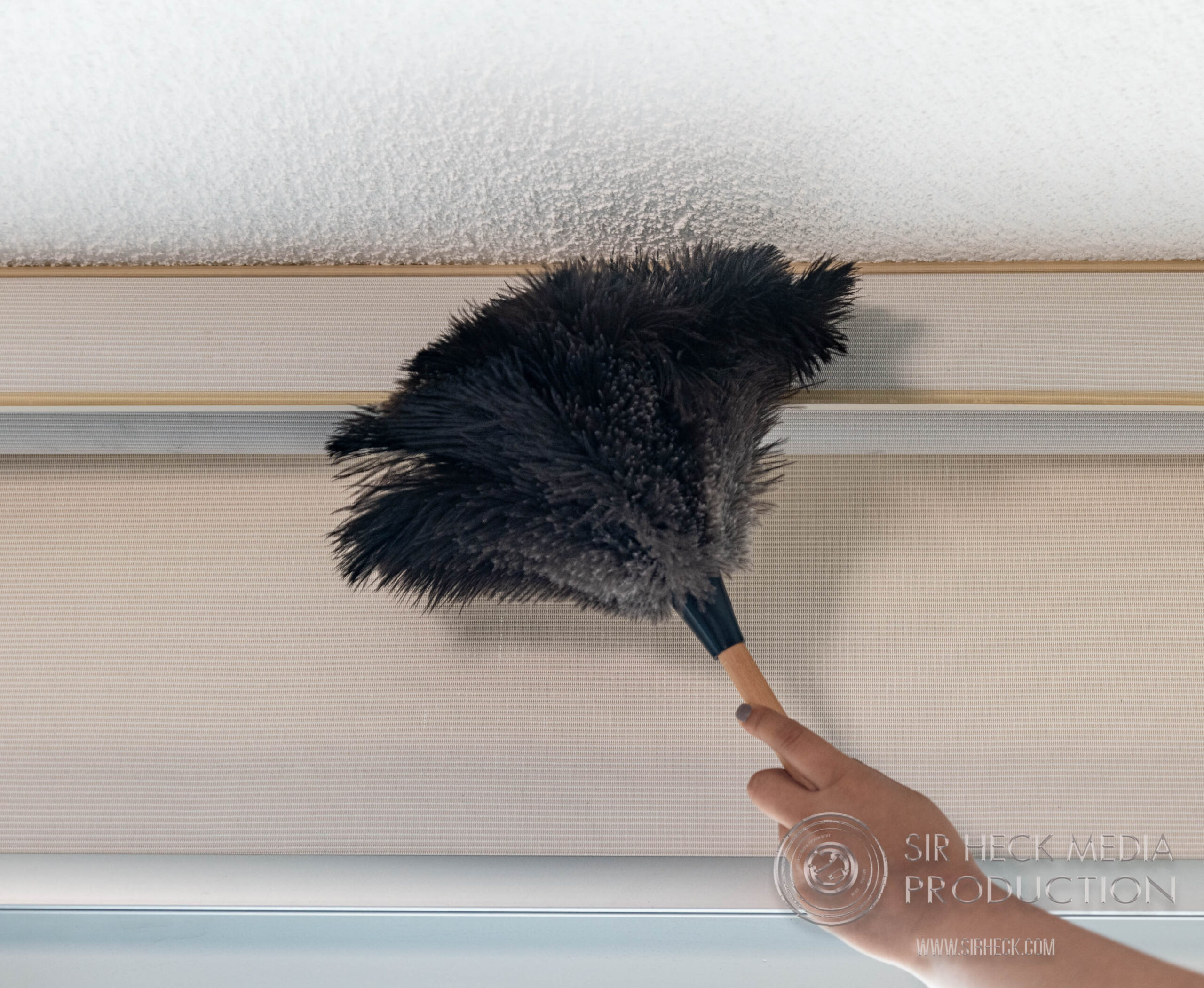 Feather duster against Venetian blinds