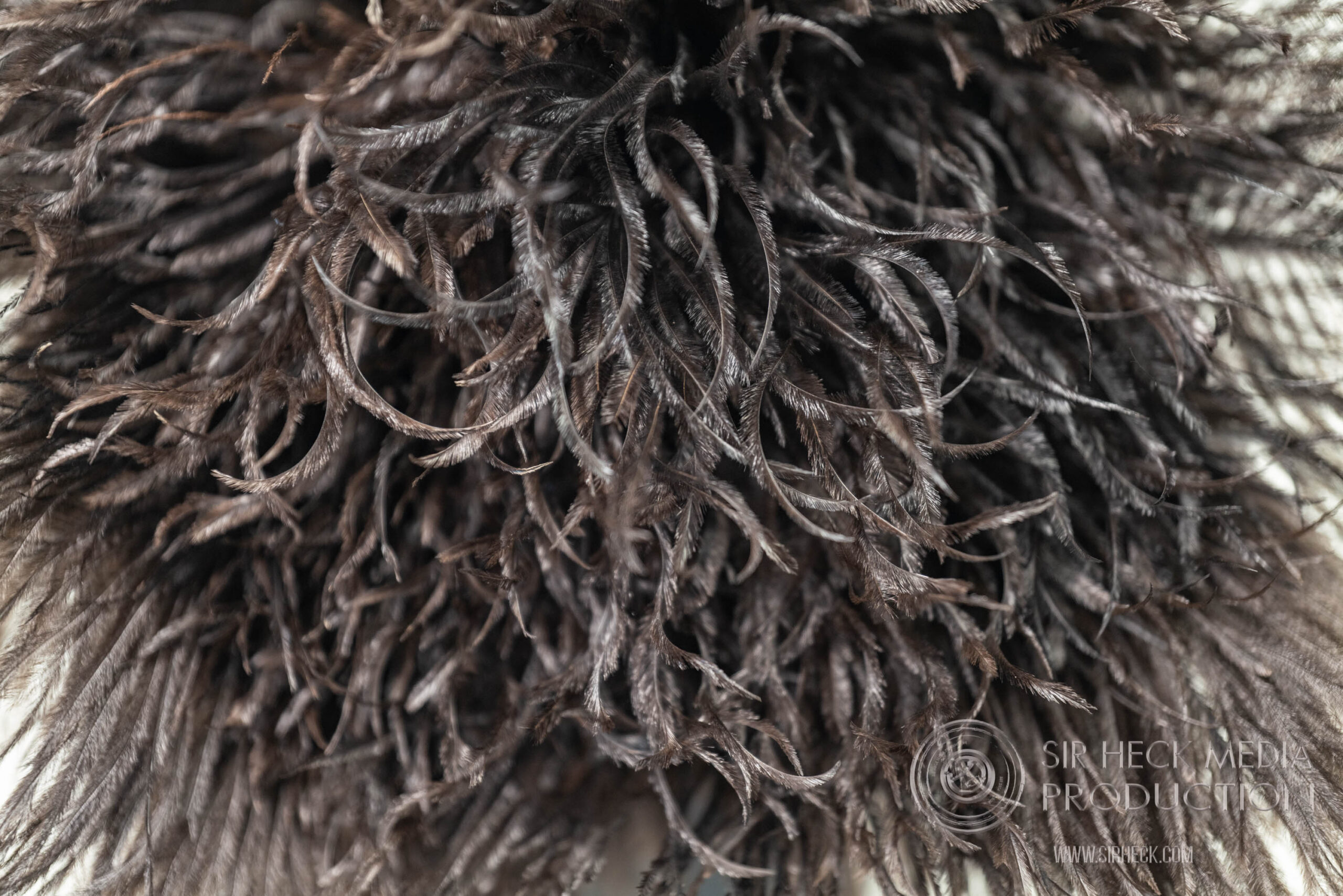 Top-down feather density capture